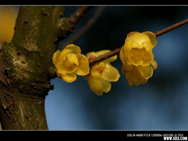 nEO_IMG_DSC00218.jpg