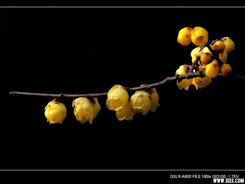 nEO_IMG_DSC01640.jpg