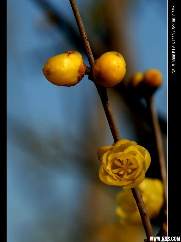 nEO_IMG_DSC00224.jpg