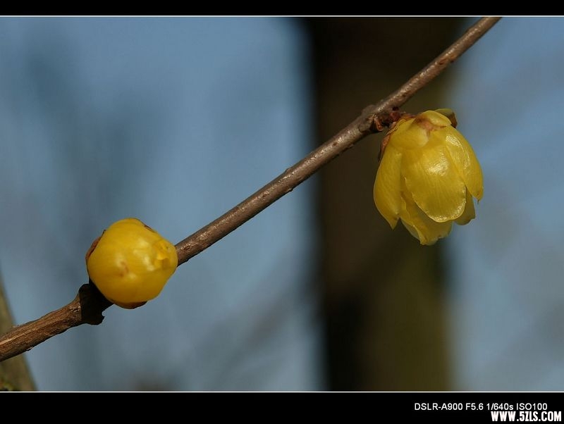 nEO_IMG_DSC00209.jpg