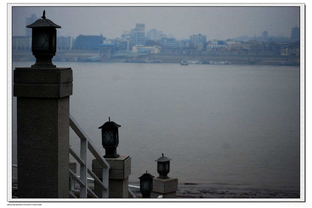 DSC_1455.JPG