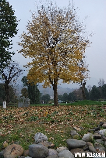 ˲Ͽ 338_nEO_IMG.jpg