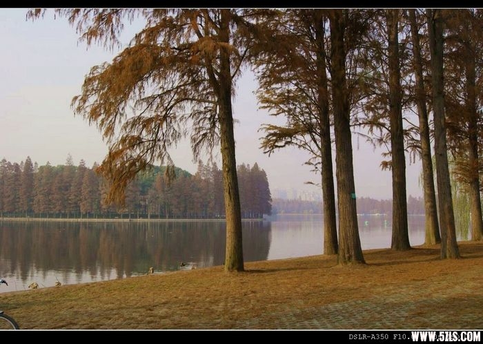 DSC00131.JPG
