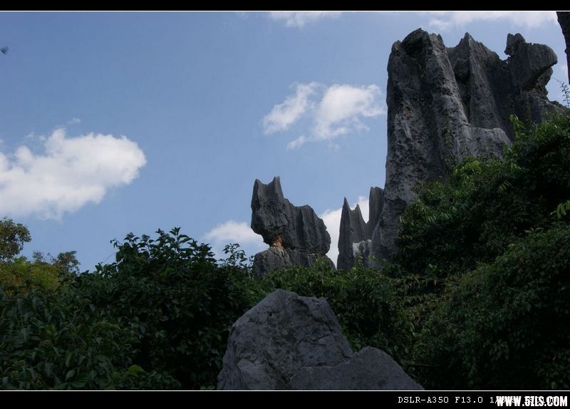 DSC00847.JPG