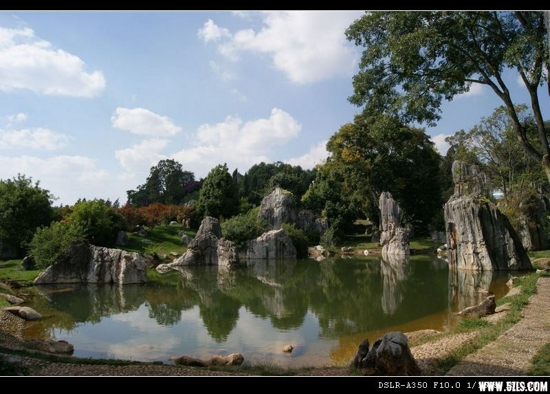 DSC00875.JPG