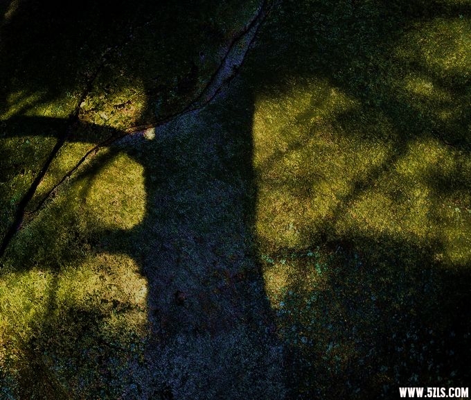 DSC_0185.jpg