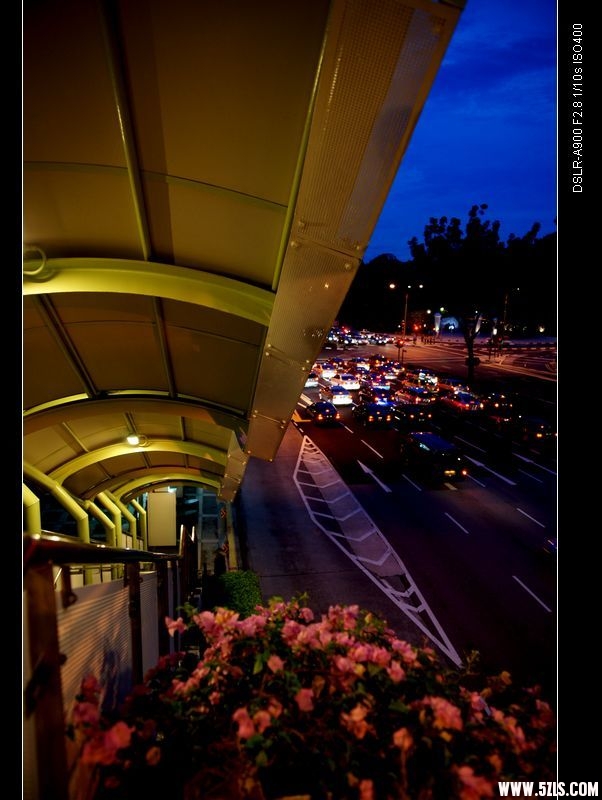 nEO_IMG_DSC00806.jpg