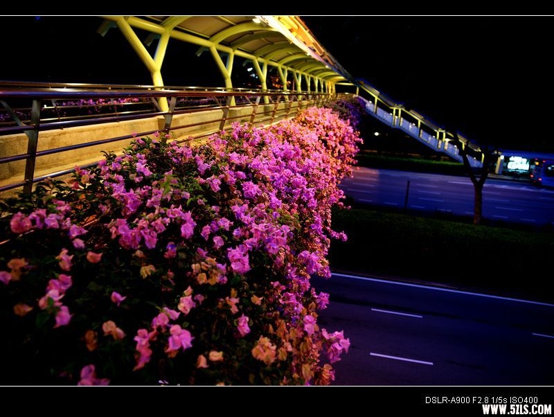 nEO_IMG_DSC00801.jpg