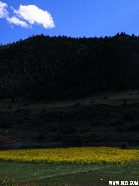 DSCF9215.JPG