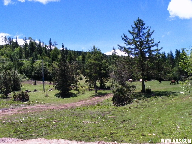 DSCF9197.JPG