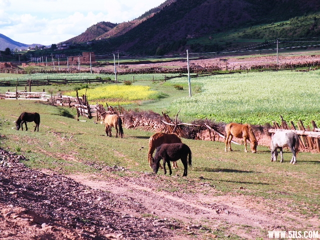 DSCF9223.JPG