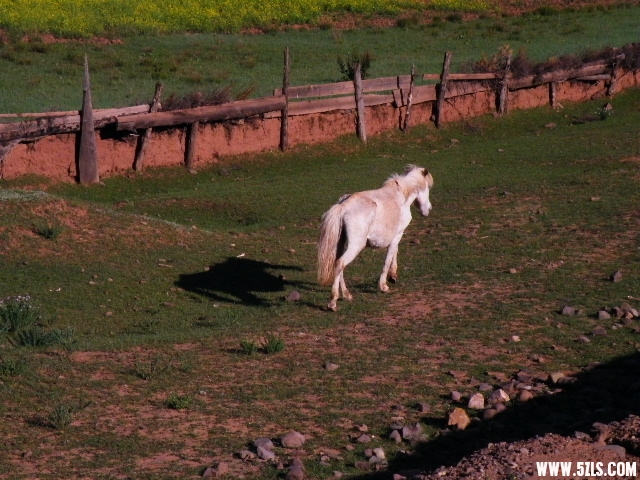 DSCF9226.JPG