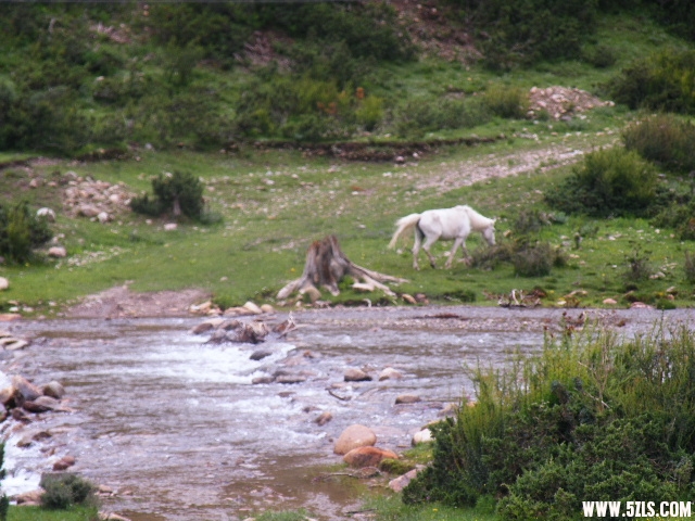 DSCF9260.JPG