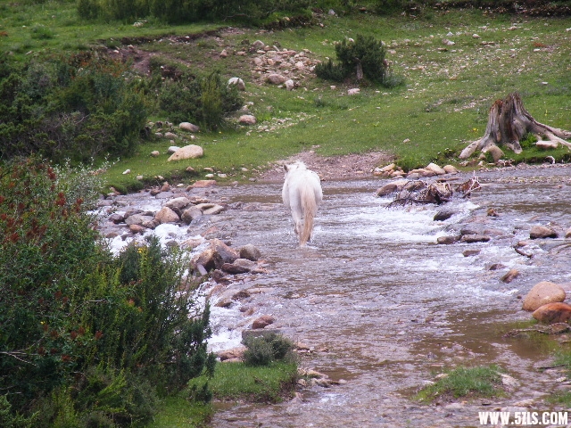 DSCF9258.JPG