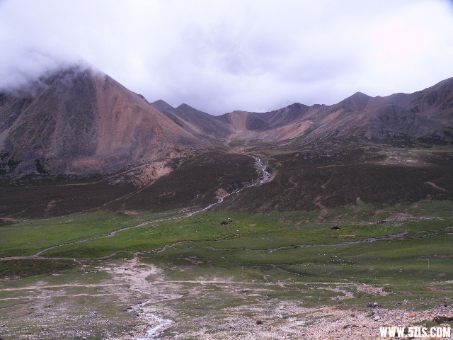 DSCF9253.JPG