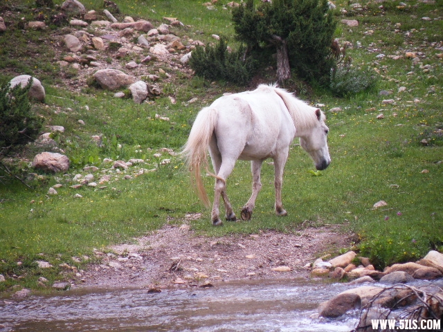 DSCF9259.JPG
