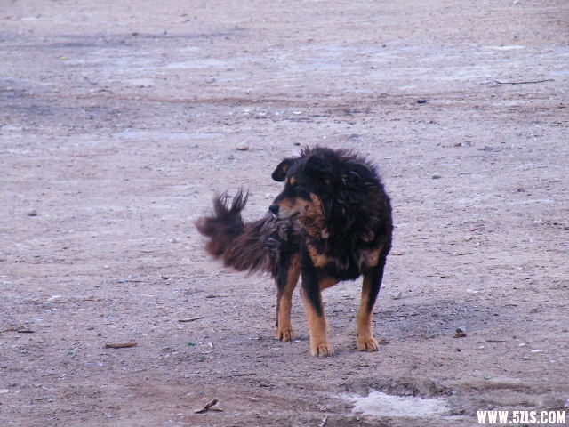 DSCF9286.JPG