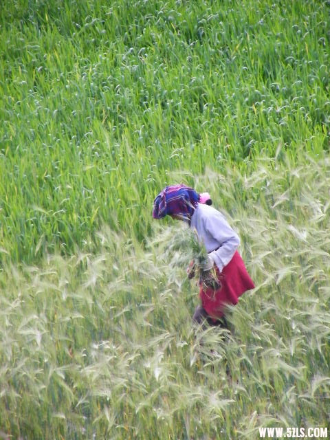 DSCF9287.JPG