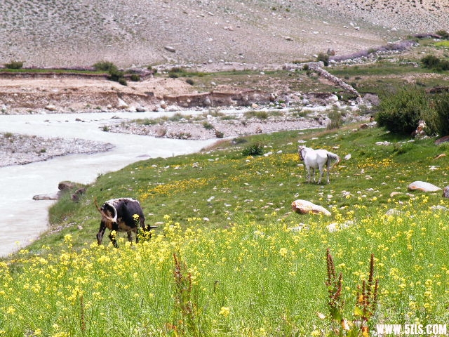 DSCF9360.JPG