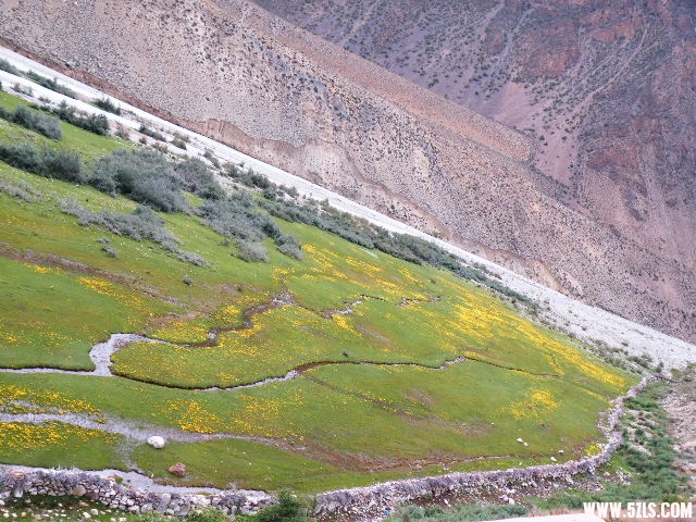 DSCF9347.JPG