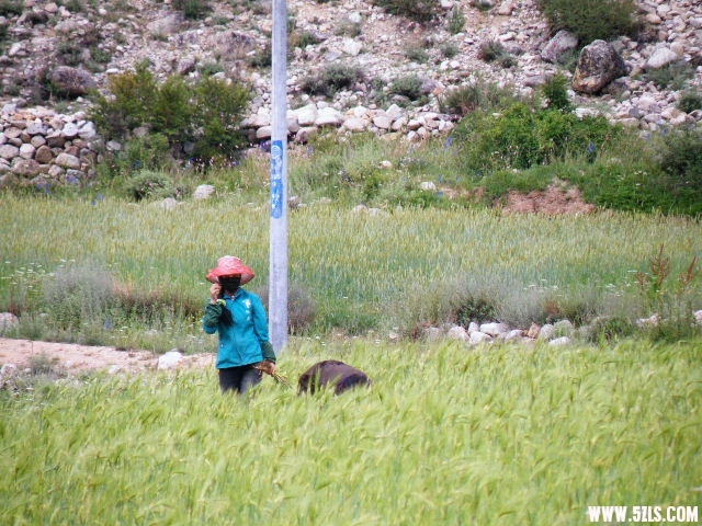 DSCF9349.JPG
