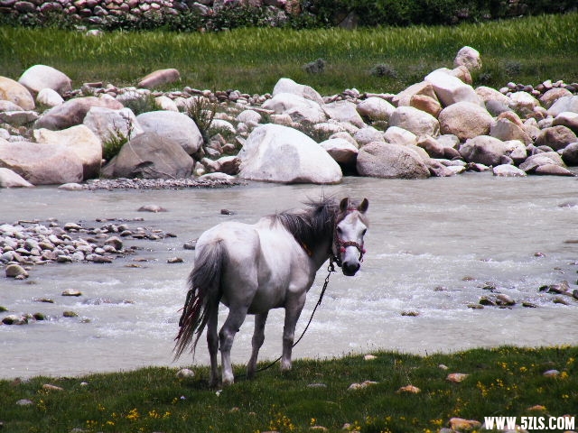 DSCF9361.JPG