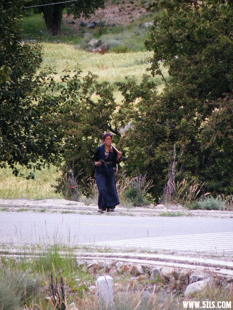 DSCF9337.JPG