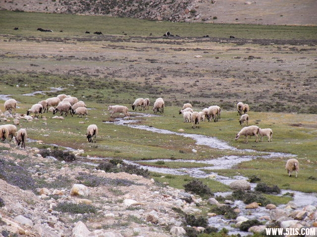 DSCF9369.JPG