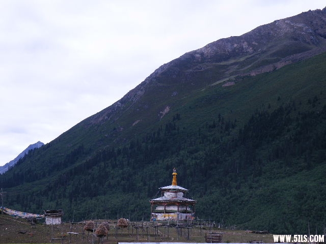 DSCF9398.JPG