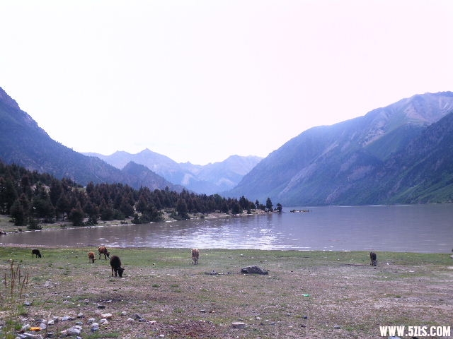 DSCF9436.JPG