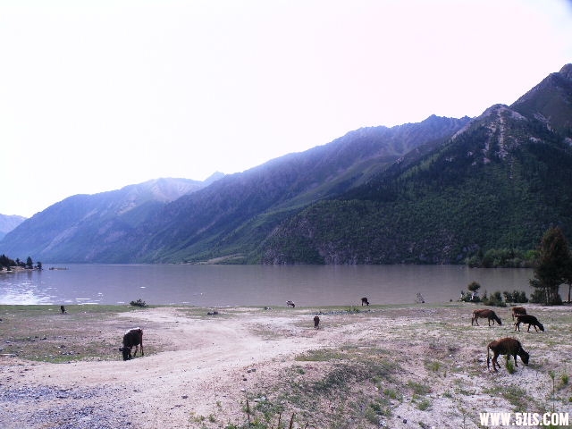 DSCF9435.JPG