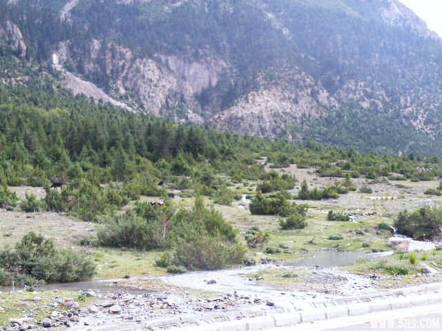 DSCF9429.JPG
