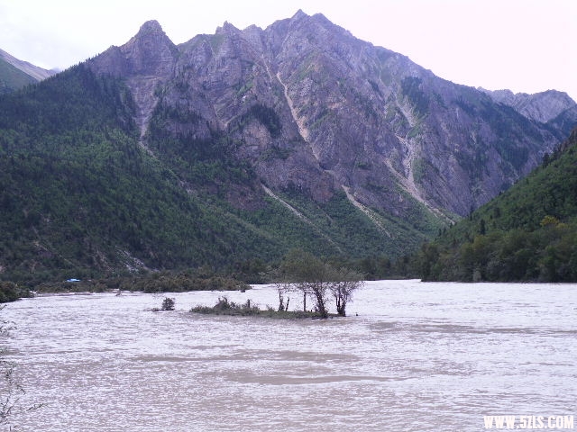 DSCF9464.JPG