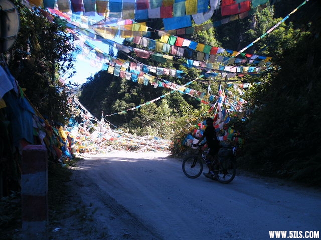 DSCF9516.JPG