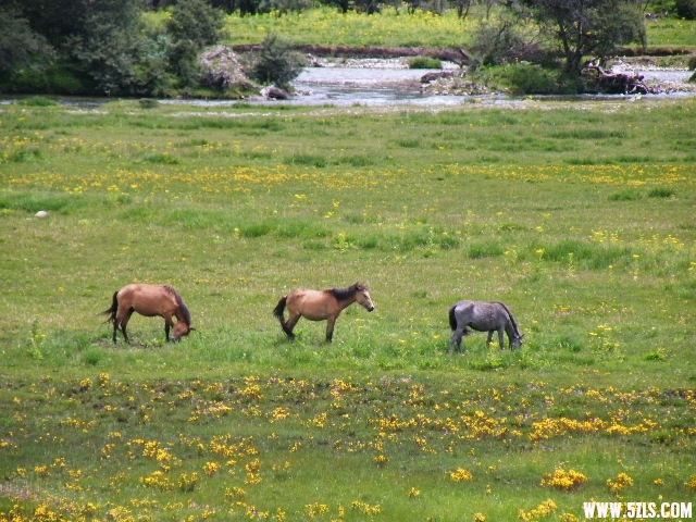 DSCF9530.JPG