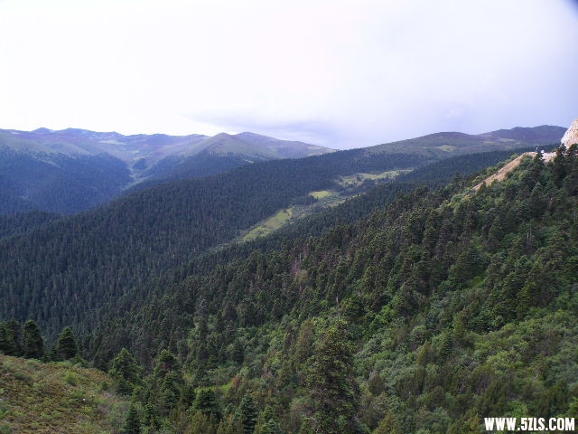 DSCF9545.JPG