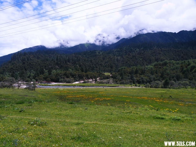 DSCF9528.JPG