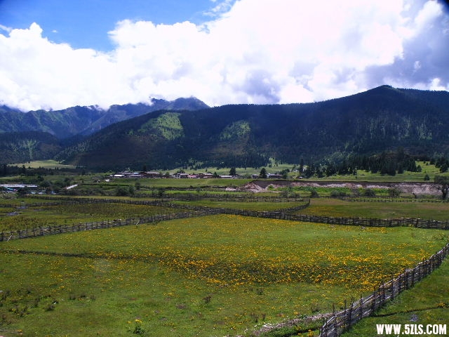 DSCF9544.JPG