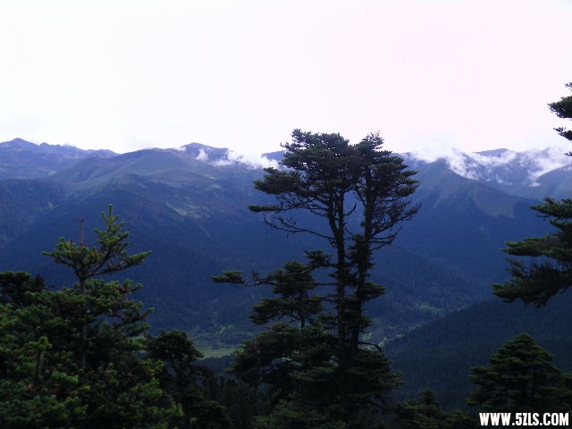 DSCF9546.JPG
