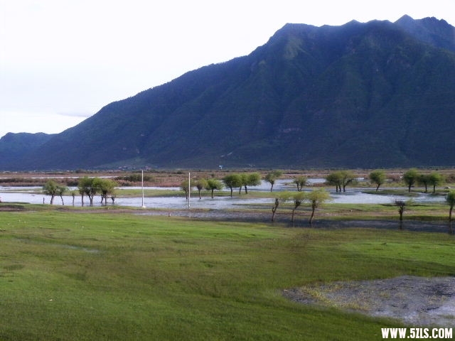 DSCF9554.JPG