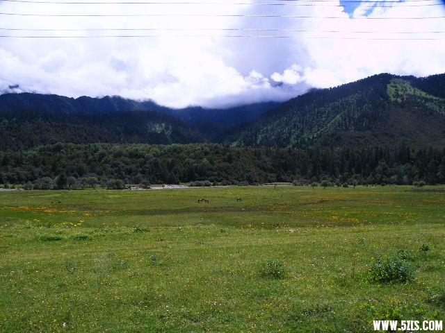 DSCF9526.JPG