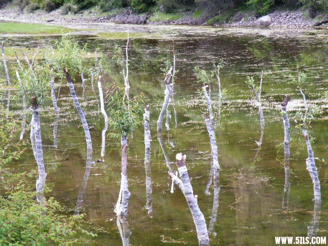 DSCF9581.JPG