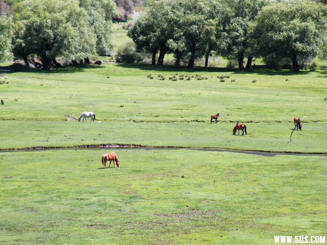 DSCF9577.JPG