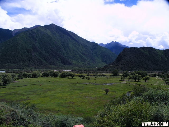 DSCF9576.JPG