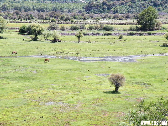 DSCF9578.JPG