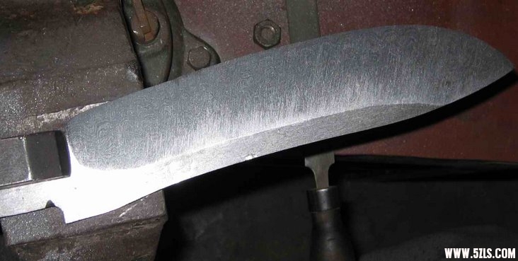 m003.jpg