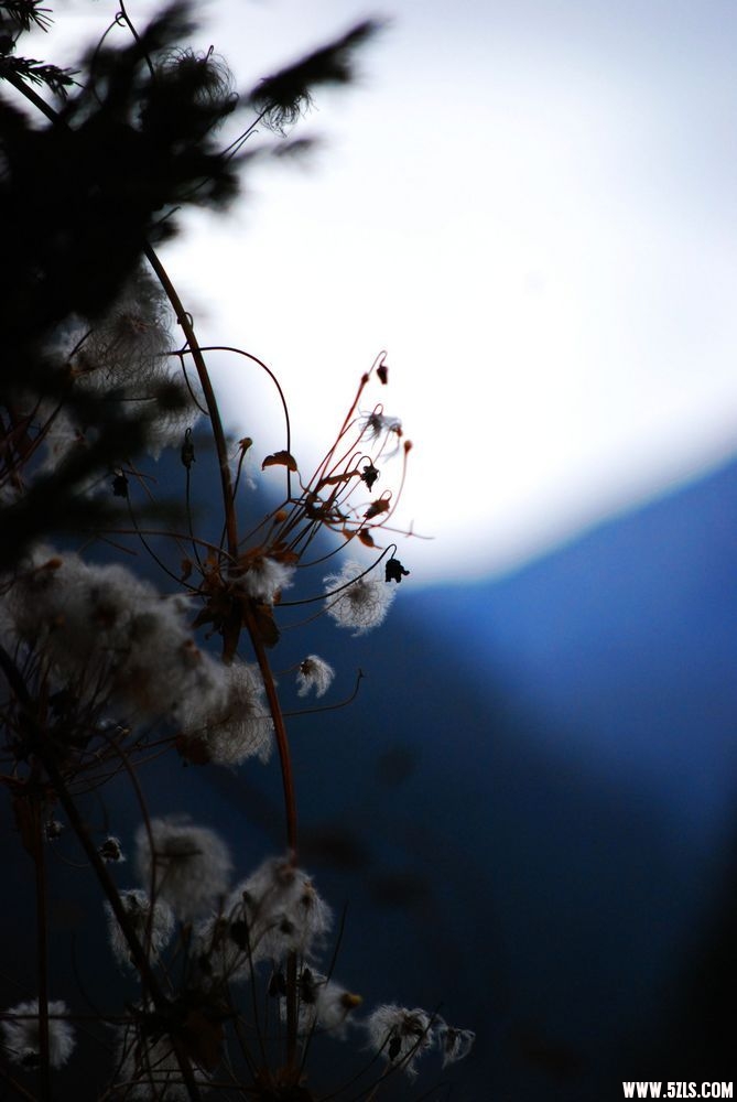 DSC_0759.JPG
