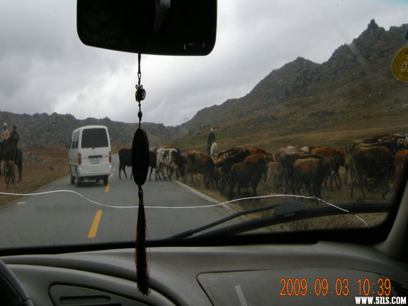 DSCN1871.JPG