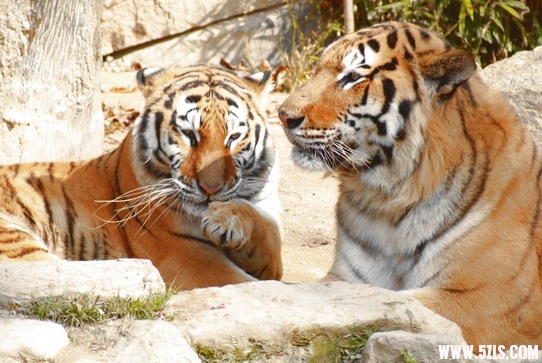 DSC07625_调整大小.JPG