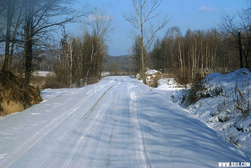 DSC07979.JPG